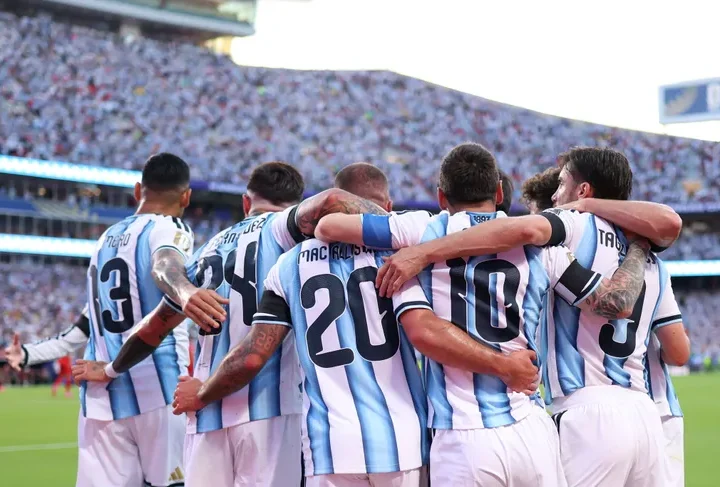 Vuelve la seleccion despues de disputar la final: que sucede después.