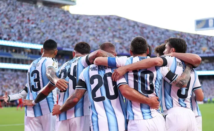 Vuelve la seleccion despues de disputar la final: que sucede después.